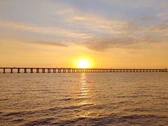 -宝安西湾红树林湿地公园