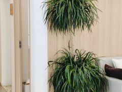 -悦园影院式·足道·养生spa