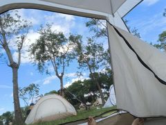 -春花秋色城市公园