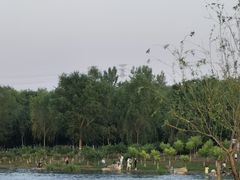 -永定河休闲森林公园