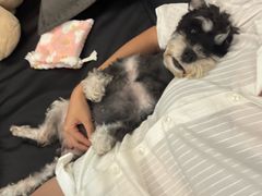 -臻品足道(后湖店)