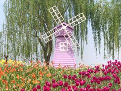 -廊坊文化艺术中心