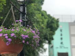 -龙环葡韵住宅式博物馆
