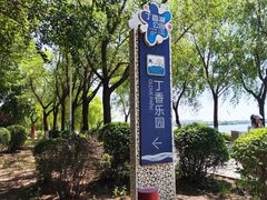 -丁香湖公园