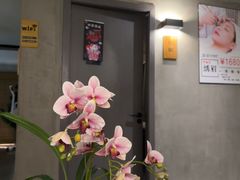 -施奈儿.洗头頭療.按摩SPA.采耳(上梅林店)
