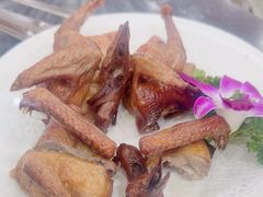 -鸽鸟轩(石岐店)