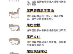 -瑞鹏宠物医院·骨外科·心肾科·肿瘤科(九亭店)