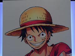 -东京塔海贼王主题公园