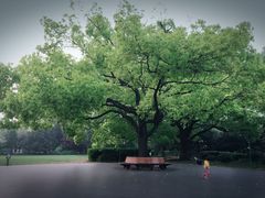 -御花园·粤菜·海鲜火锅(中山公园店)