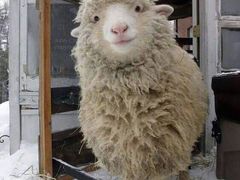 -爱尚花坊(大林路店)