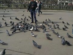 -滴血救世主教堂