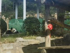 -大连森林动物园