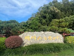 -顺峰山公园