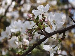 -星湖街(地铁站)