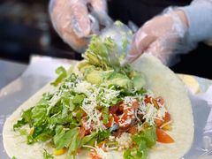 -油梨树AVOCADO TREE(顺义新国展店)