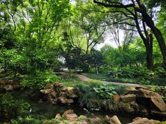 -上海醉白池公园