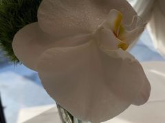 -佐度王子扒房(天鹅湖店)