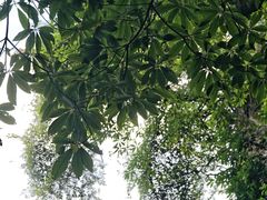 -綦江古剑山