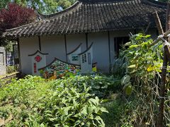 -金山农民画村-枫泾波兰倒置屋