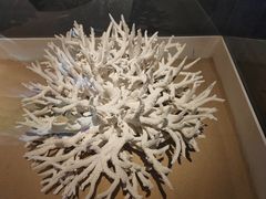 -天津自然博物馆