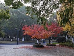 -公益图书馆(江南大学店)