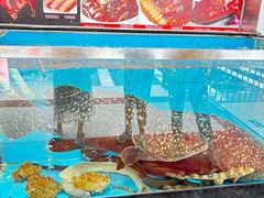 -四海之家(蛇口店)