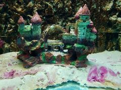 -北戴河圣蓝海洋公园