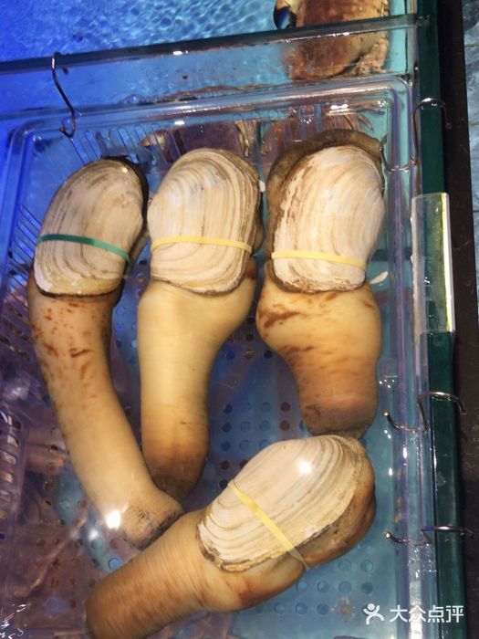 阿伟海鲜楼·福建菜(延寿店)图片