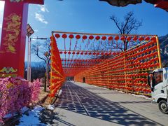 -北京凤凰岭