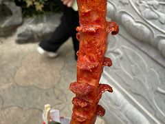 黑色经典老长沙大香肠-黑色经典臭豆腐·湖南特产(坡子街店)