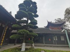 -宝光寺