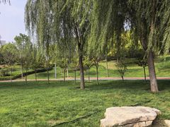 -吉林大学(前卫南区)