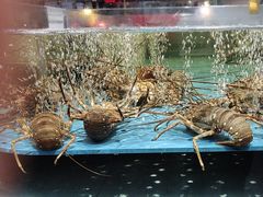 -阿伟海鲜楼·福建菜(延寿店)