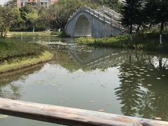 -映月湖公园