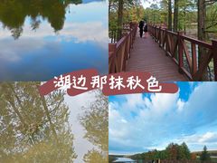 -四明湖
