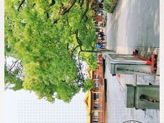 -西湖外事游船(湖滨二公园外事游船码头)