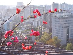 -萨芭蒂高空花园餐酒吧