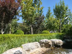 -南宫五洲植物乐园