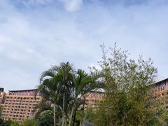 -三亚湾红树林度假世界(木棉酒店)