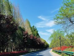 -西溪国家湿地公园