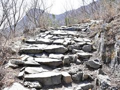 -阳台山自然风景区