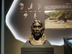 -广西壮族自治区博物馆