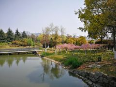 -白塘生态植物园