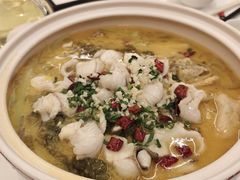-顺德喜来登酒店·采悦轩