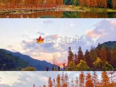 -广州市石门国家森林公园