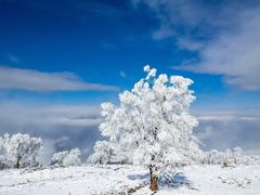 -太子岭滑雪场