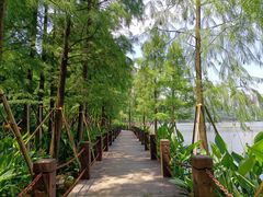 -重庆彩云湖湿地公园