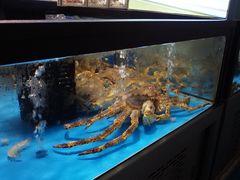 -麦德龙(郑东店)