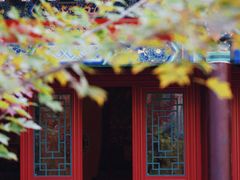 -护国法轮寺