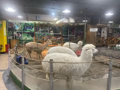 -上海昆虫博物馆